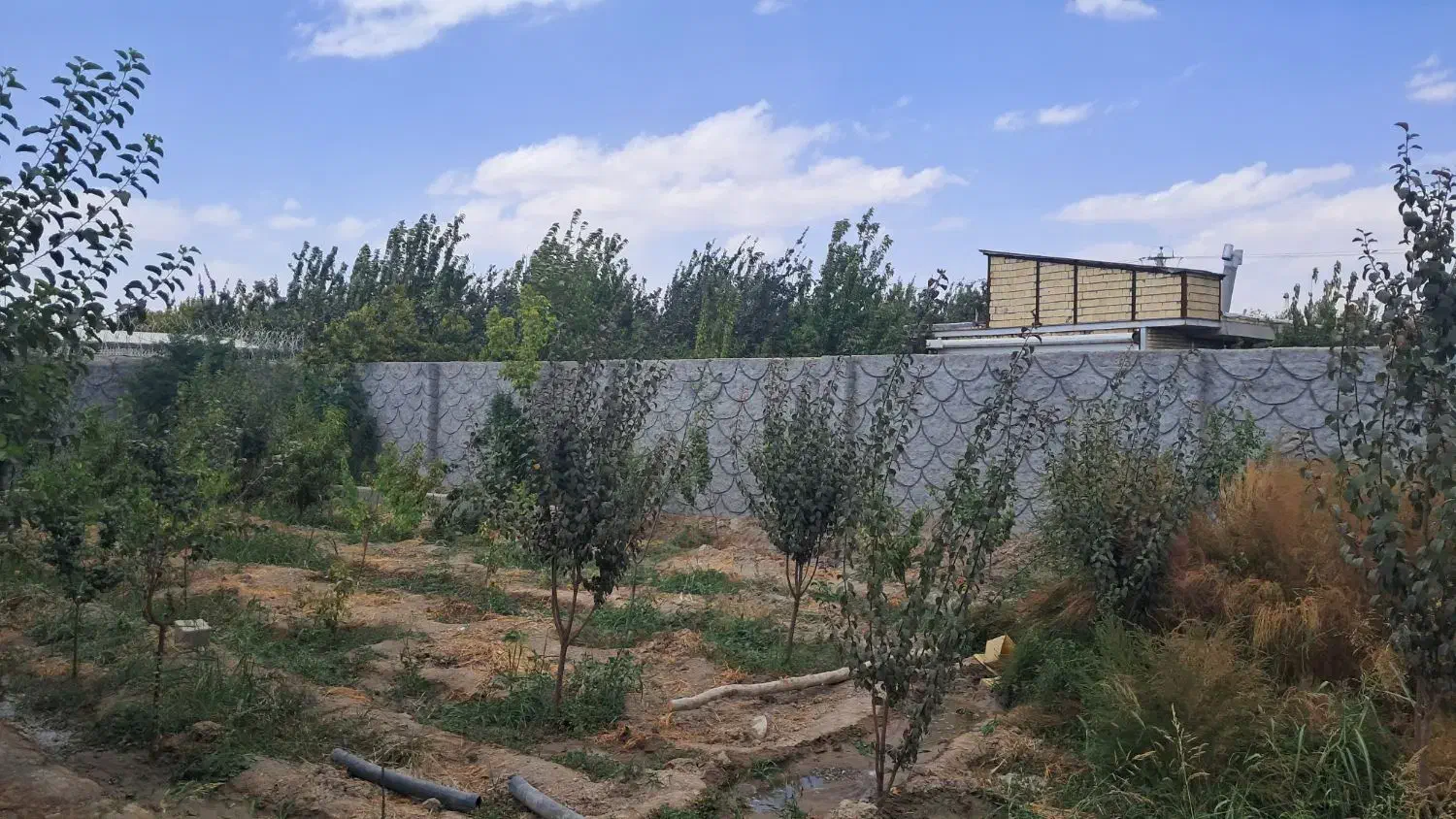 باغ ویلا نقلی خانوادگی|فروش خانه و ویلا|فلاورجان, |دیوار