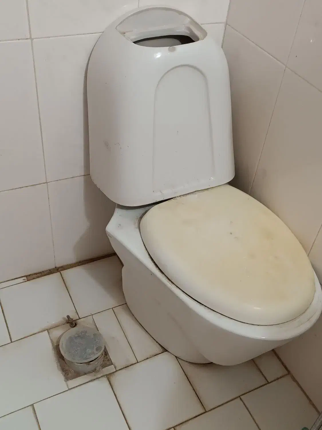 دسشویی فرنگی والریا|حراج|آباده, |دیوار