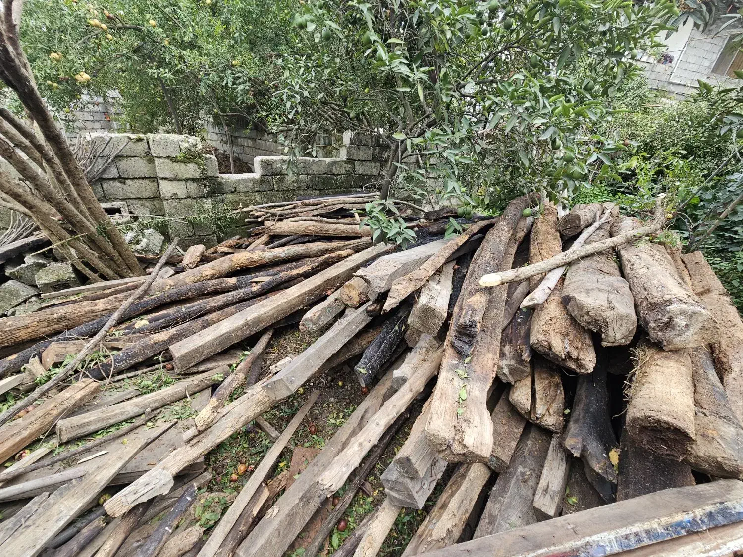 چوب سربندی طویله|مصالح و تجهیزات ساختمان|عباسآباد, |دیوار