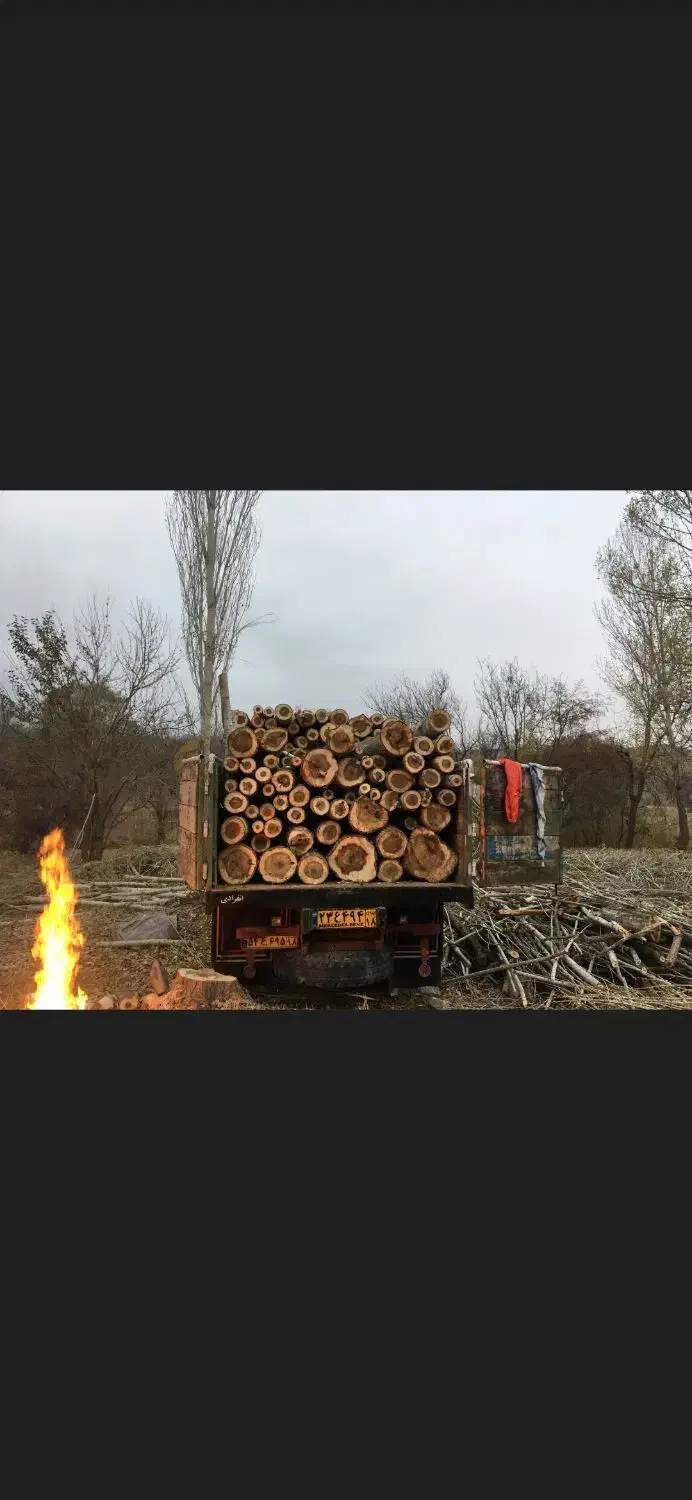 خرید و فروش چوب|خدمات باغبانی و درختکاری|تویسرکان, |دیوار