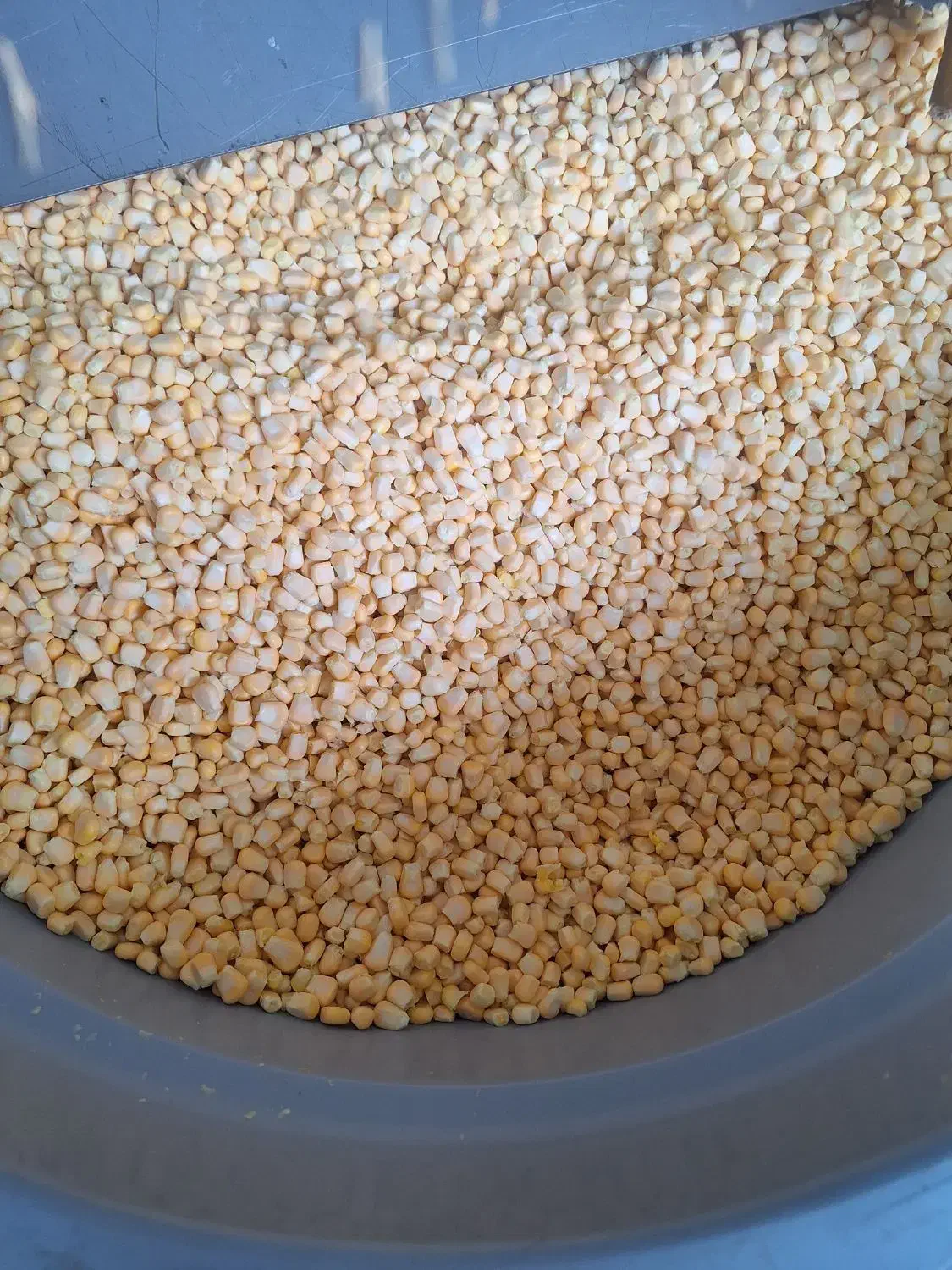 ذرت نیمه آماده عمده|خوردنی و آشامیدنی|تهران, سلسبیل شمالی|دیوار