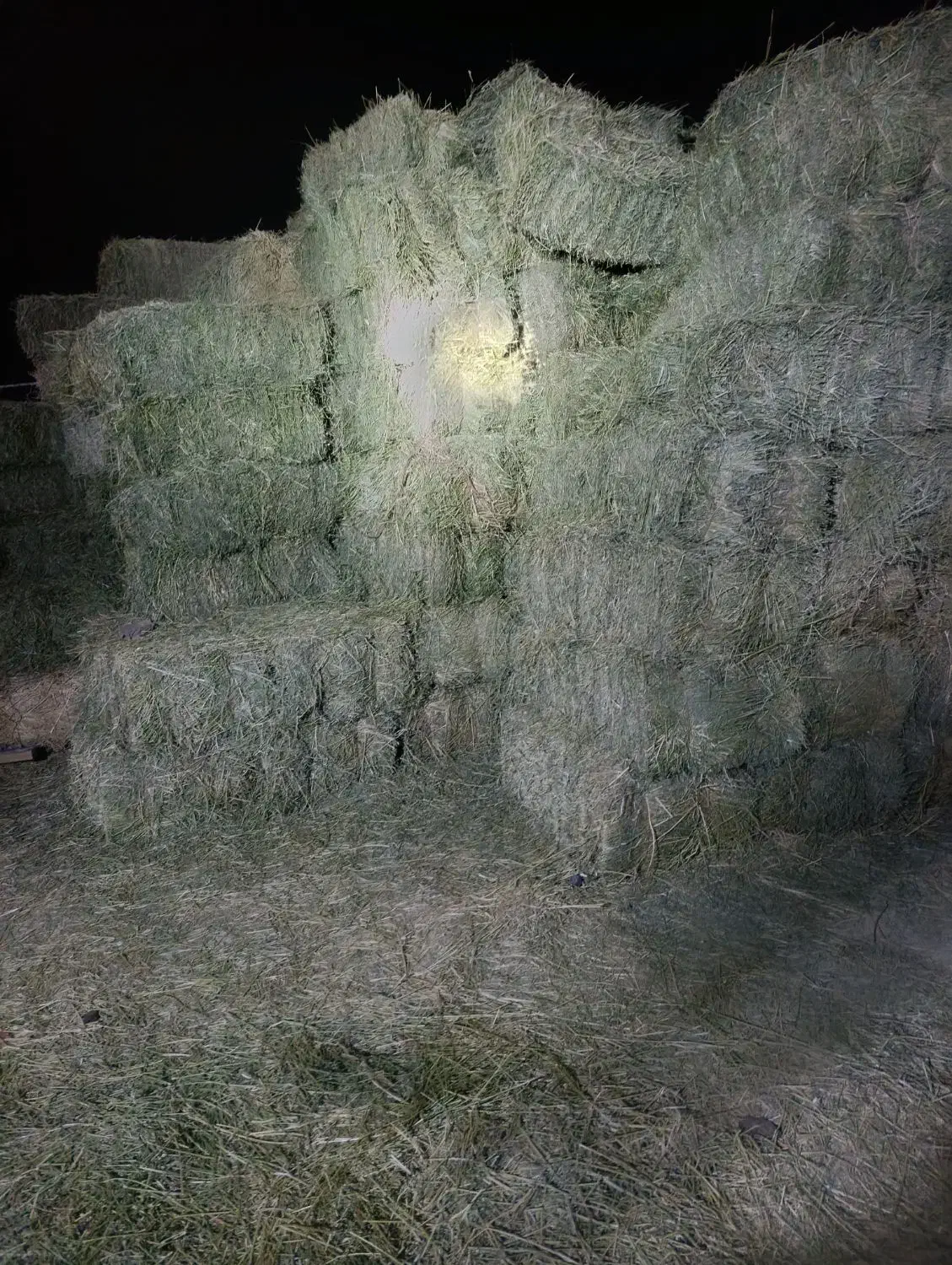 یونجه|لوازم جانبی حیوانات|بروجرد, |دیوار