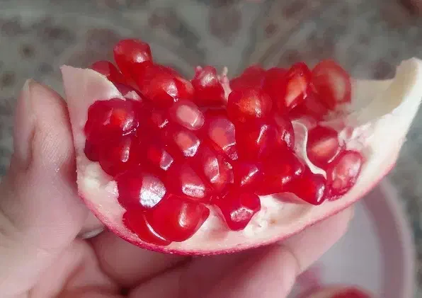 رب انار خانگی درجه یک|خوردنی و آشامیدنی|شیراز, جوادیه|دیوار