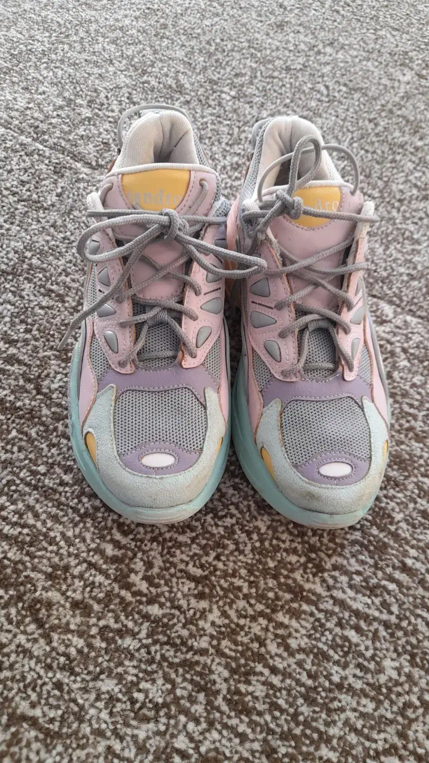 چندمدل کفش|کیف، کفش، کمربند|یاسوج, |دیوار