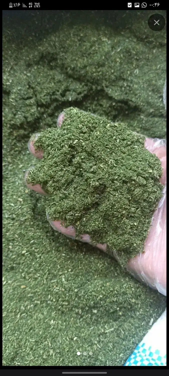 نعنا و شوید فارس|عمدهفروشی|رستاق, |دیوار