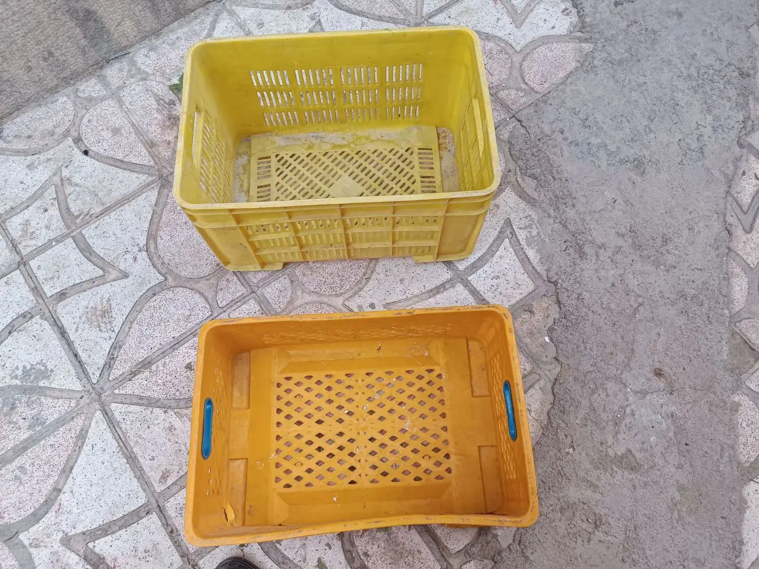 سبدمیوه ای|صنایع دستی و سایر لوازم تزئینی|شیراز, گویم|دیوار