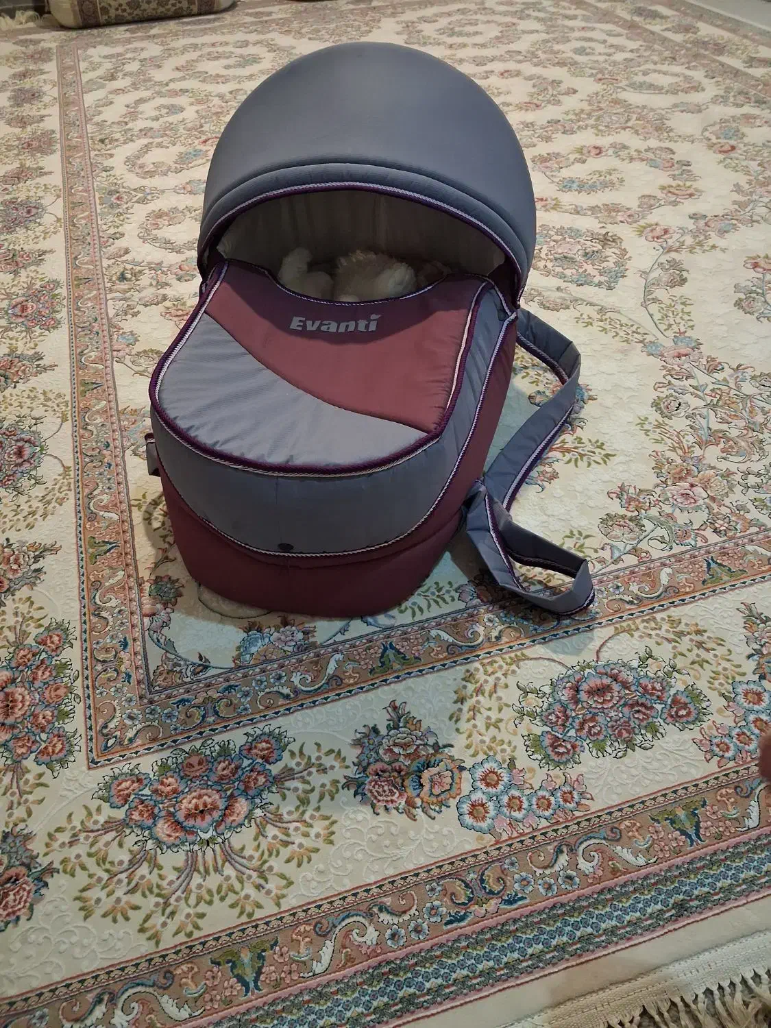 نی نی لای یا ساک نوزاد نو|تخت و صندلی بچه|دوگنبدان, |دیوار