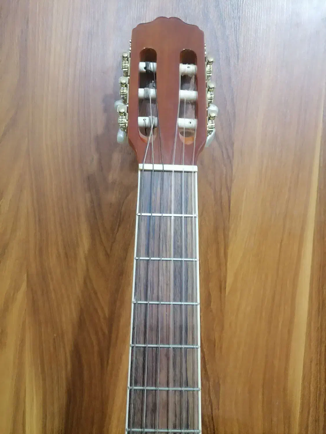 گیتار دیوایزر نو|گیتار، بیس، امپلیفایر|قم, چهل درخت|دیوار