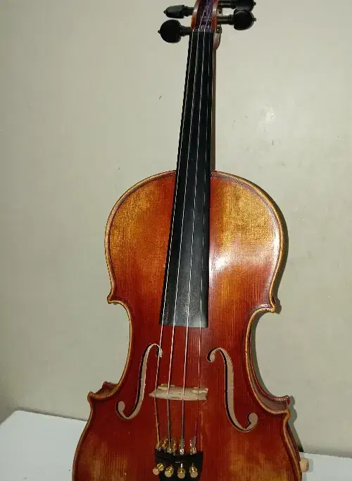 ویولن حرفه ای آلمانی|ویولن|تهران, کوثر|دیوار