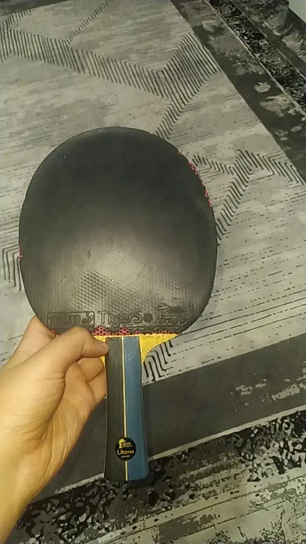 راکت پینگ پنگ|ورزشهای توپی|محمدیه-قزوین, |دیوار