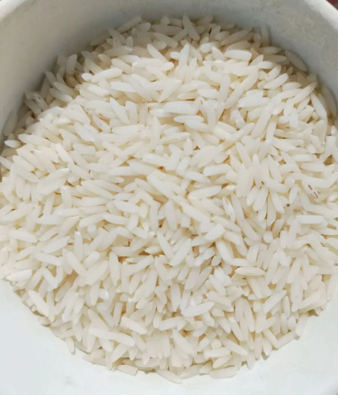 برنج هاشمی درجه یک|خوردنی و آشامیدنی|رشت, بوسار|دیوار