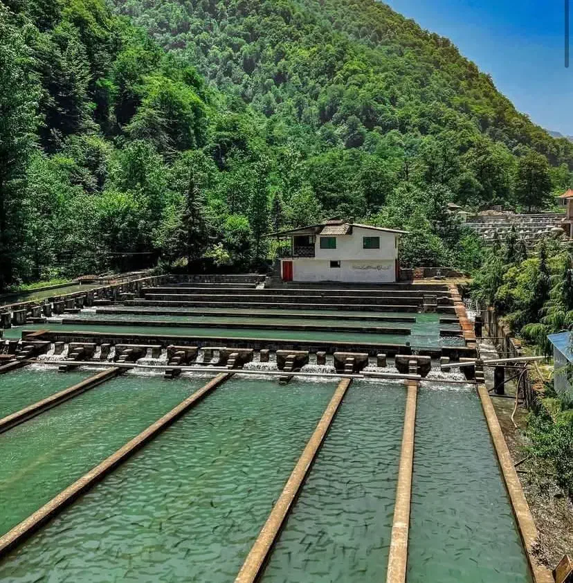 باغ ویلا|فروش دفتر صنعتی، کشاورزی، تجاری|سراجو, |دیوار