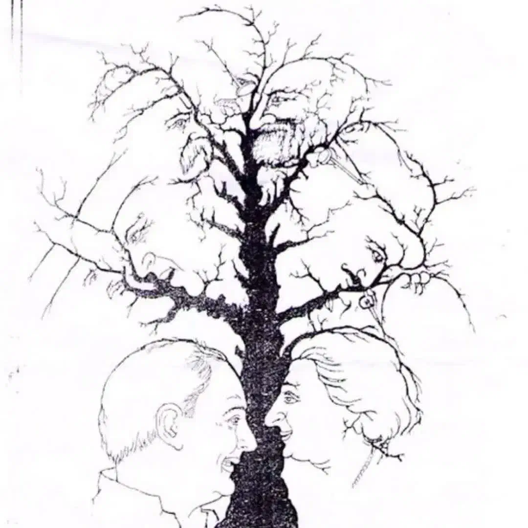 گمشده|جواهرات|اردبیل, |دیوار