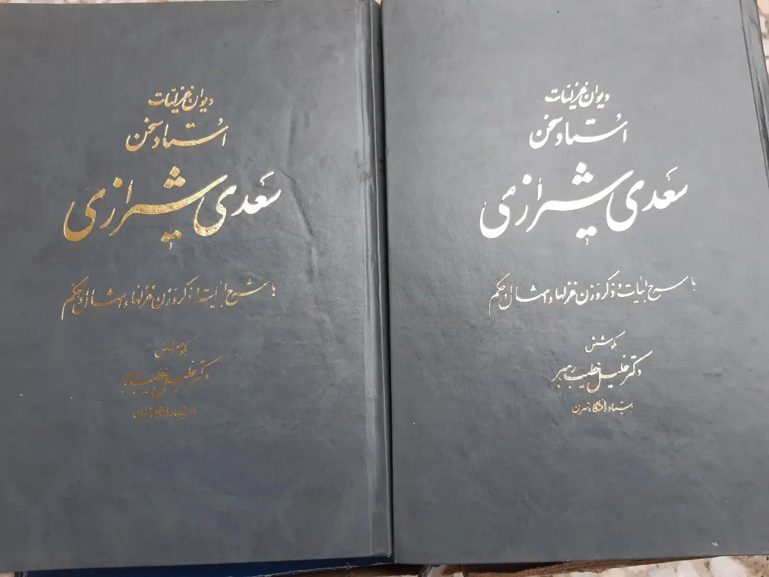 کتاب سخن سخنوران از بدیع الزمان فروزانفر|کتاب و مجله ادبی|رشت, معلم|دیوار