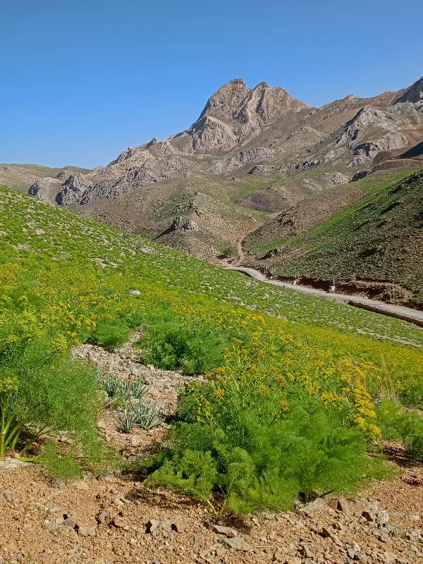 کوهنوردی|کوهنوردی و کمپینگ|شیراز, تحویلی|دیوار