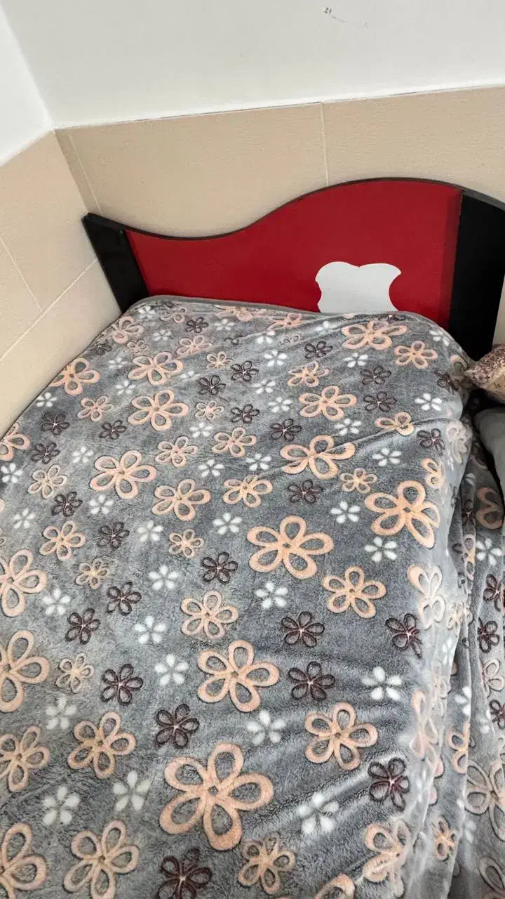 تخت خواب یک نفره|تشک تختخواب|بهبهان, |دیوار