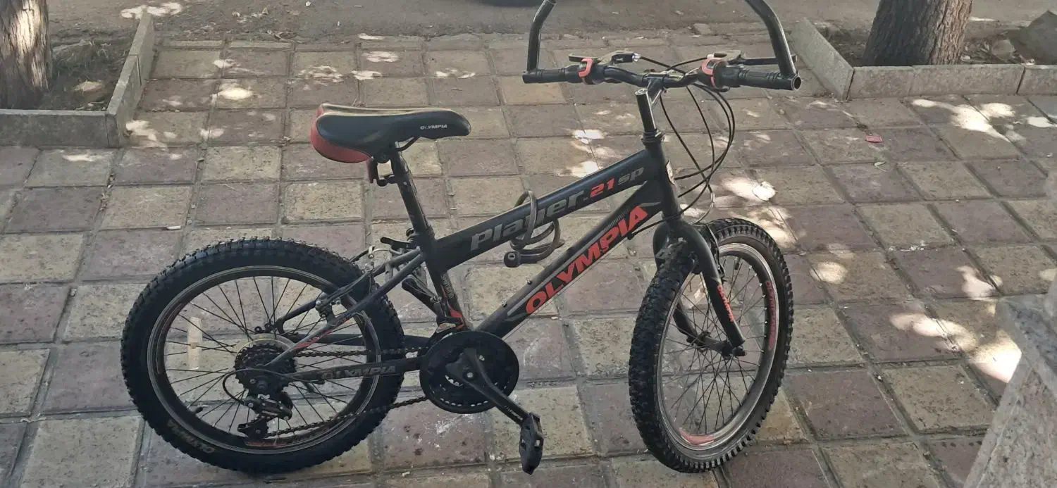 دوچرخه ۲۴|دوچرخه، اسکیت، اسکوتر|همدان, |دیوار