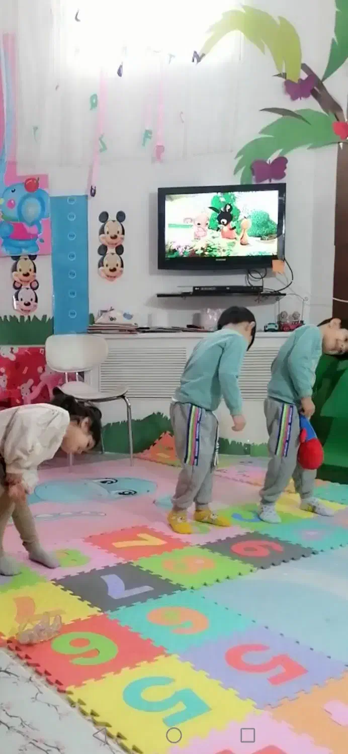 مونته سوری|خدمات آموزشی|بابل, |دیوار