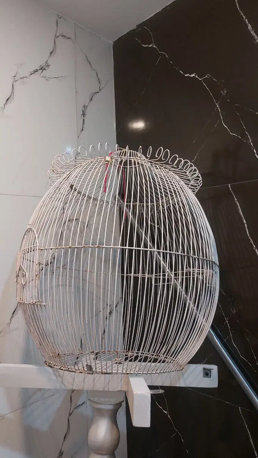 قفس پرنده|لوازم جانبی حیوانات|مشهد, خواجه ربیع|دیوار