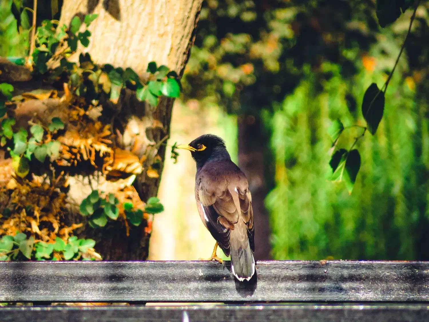 دوربین کنون آکبند  sx720|دوربین عکاسی و فیلم‌برداری|تهران, مشیریه|دیوار