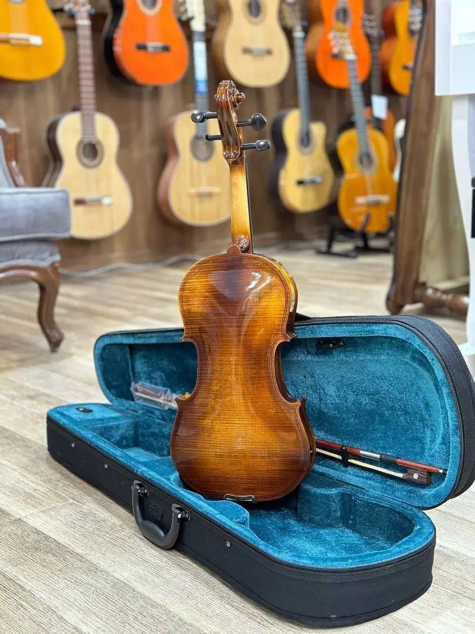 ویولن|ویولن|بندرعباس, |دیوار