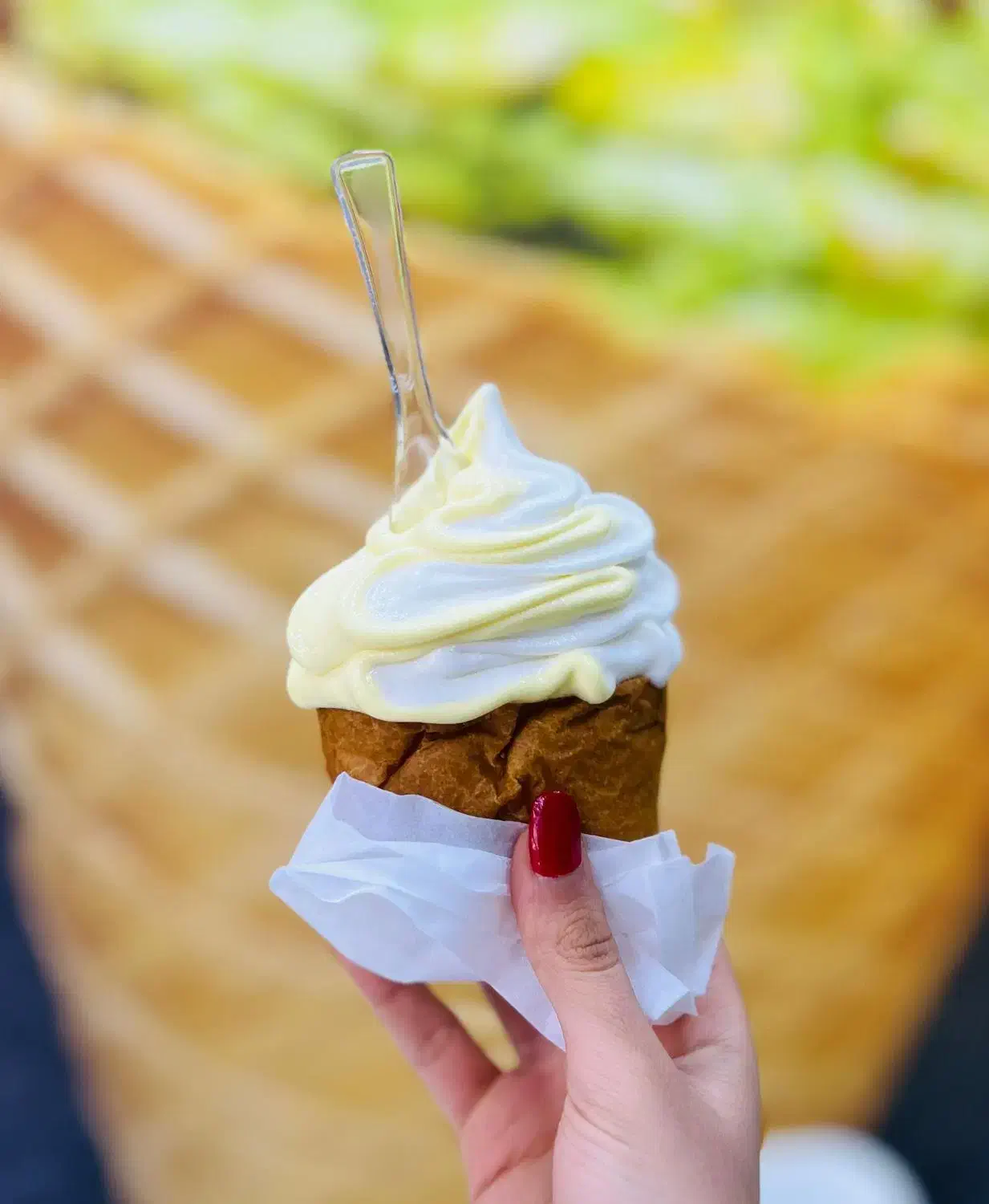 شاگرد خانوم یا آقا برای بستنی فروشی|استخدام خدمات فروشگاه و رستوران|بندرعباس, |دیوار