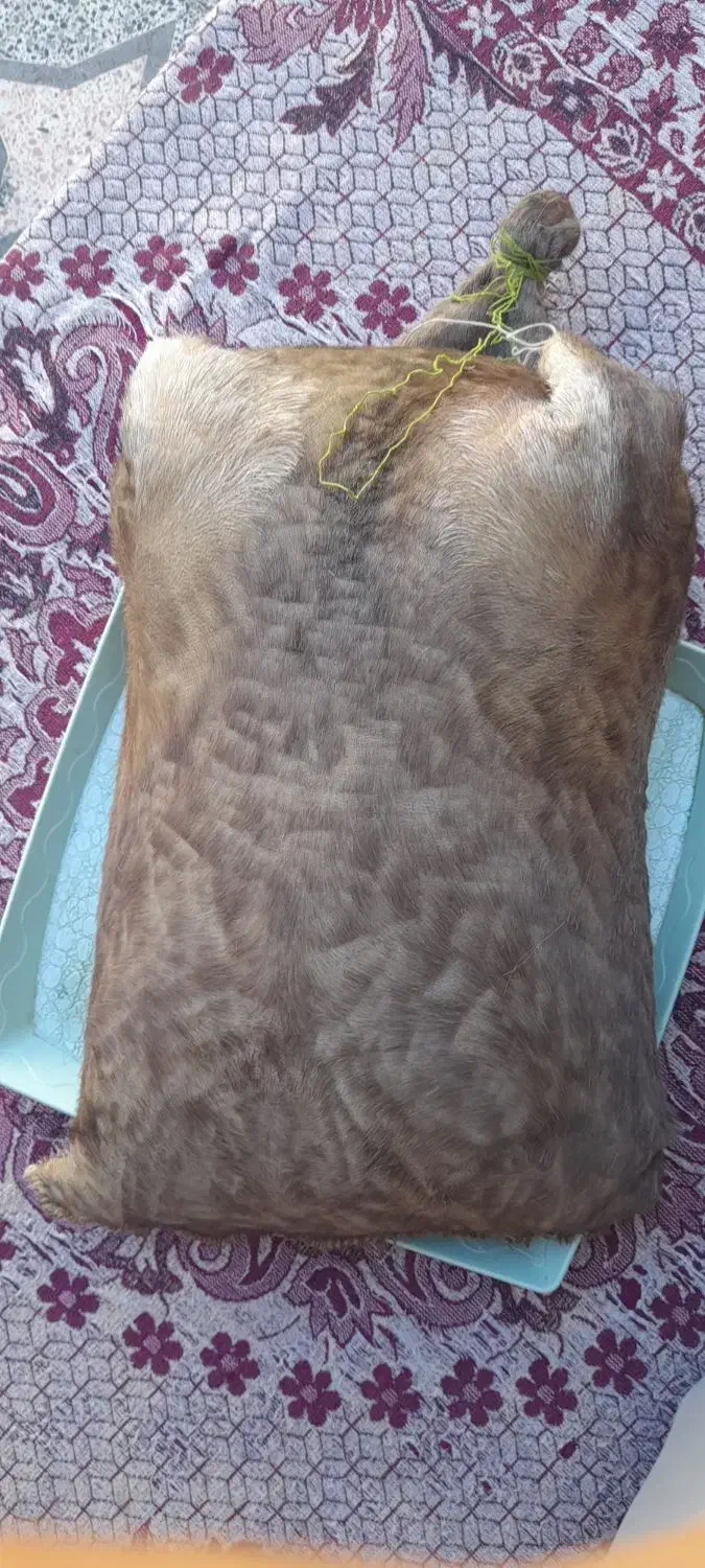 هیزه جا روغن نو|ظروف نگهدارنده، پلاستیکی، یک‌بارمصرف|اندیمشک, |دیوار