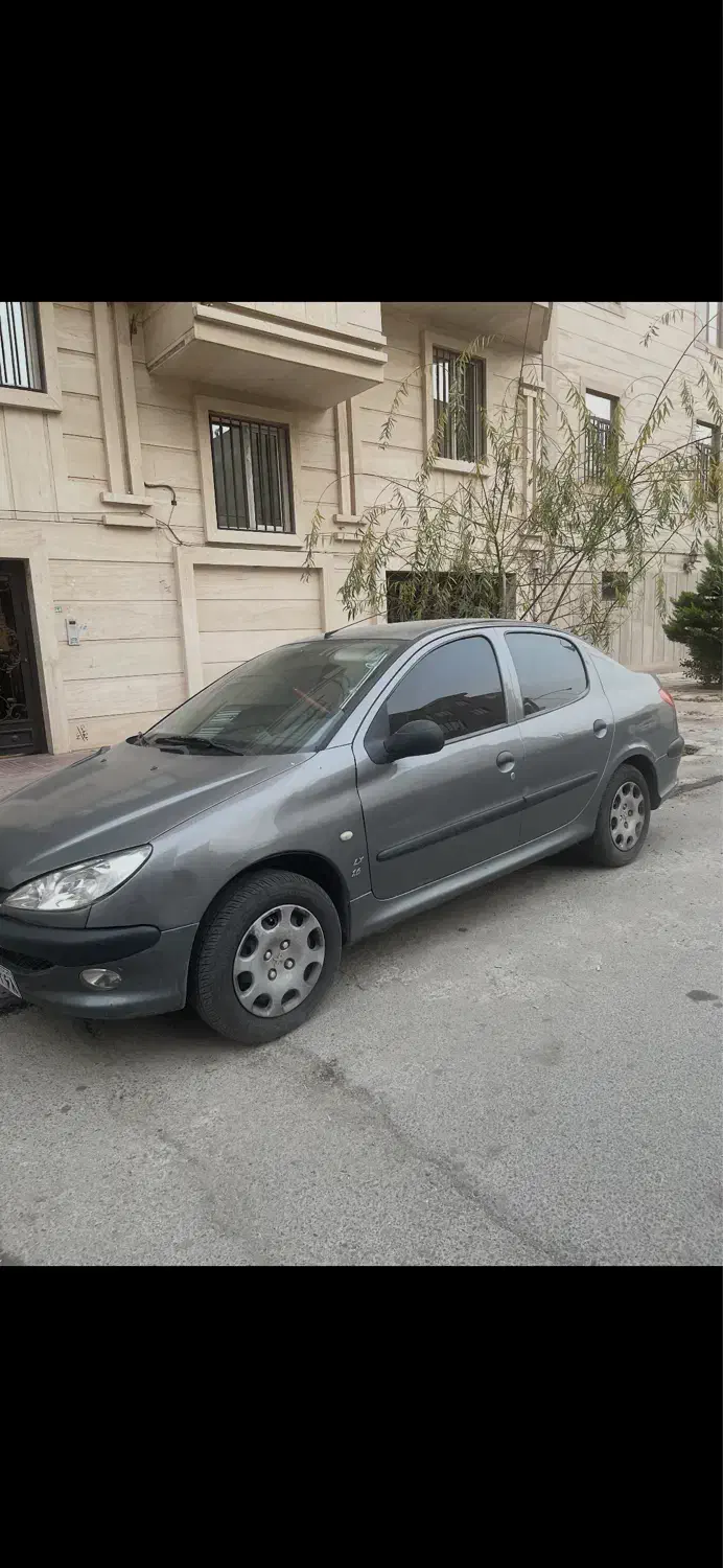 ۲۰۶ SD مدل ۹۳|خودرو سواری و وانت|کرج, ساماندهی|دیوار