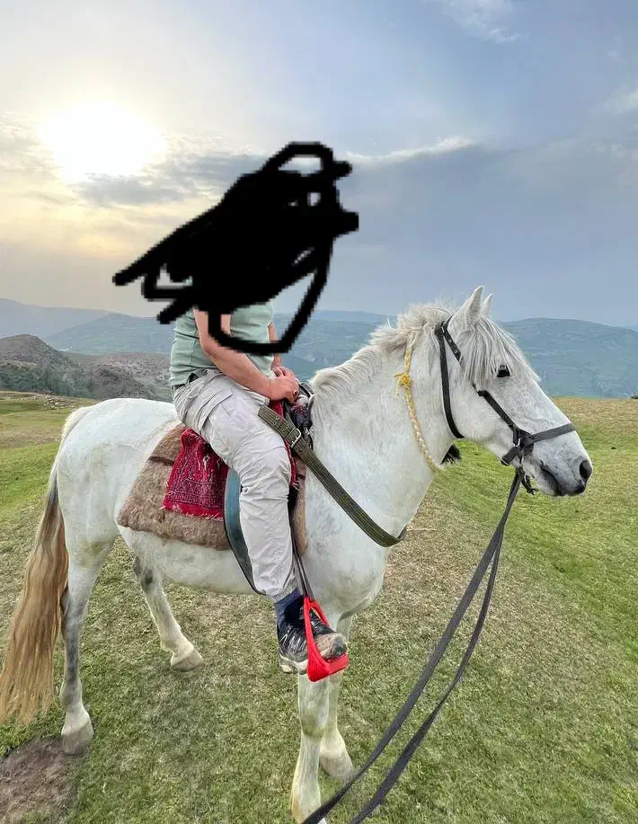 اسب نریان|اسب و تجهیزات اسب‌سواری|گنبد کاووس, |دیوار