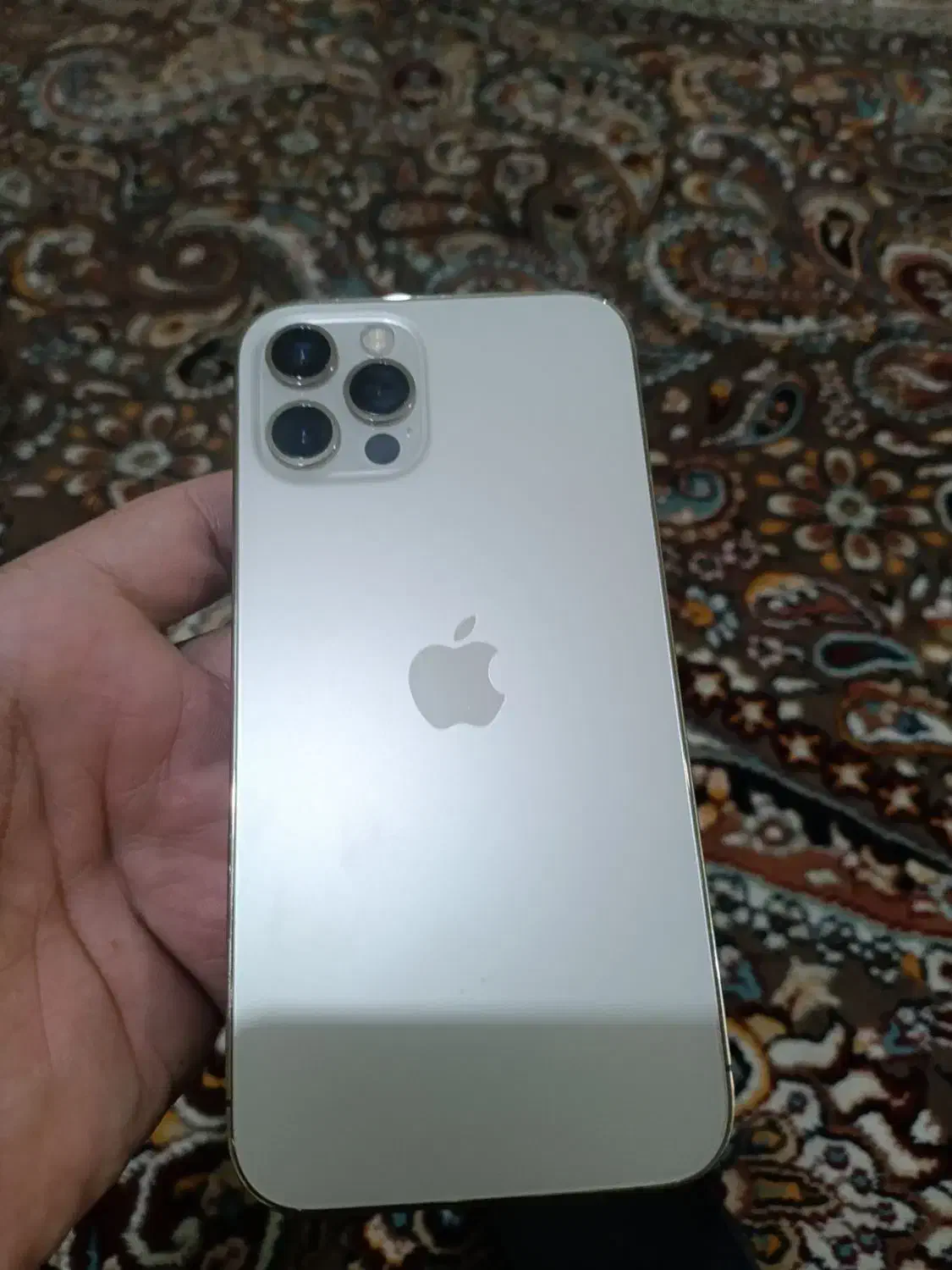 آیفون 12 پرو|موبایل|یزد, |دیوار