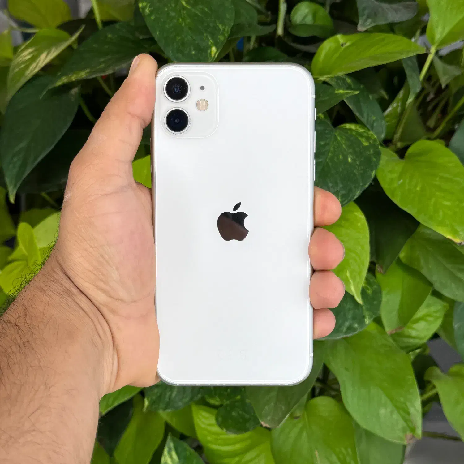 Iphone 11 128G|موبایل|نیشابور, امام|دیوار