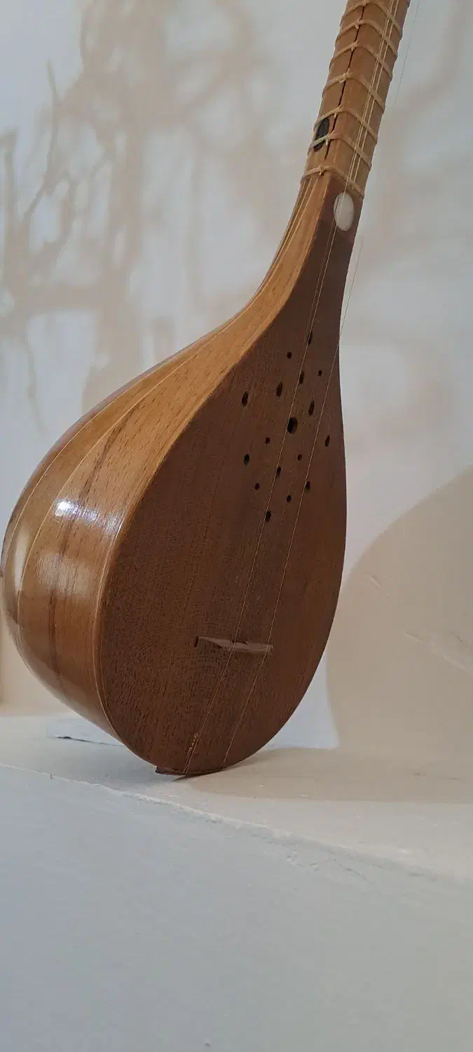 سه تار حرفه ای|سازهای سنتی|لنگرود, |دیوار