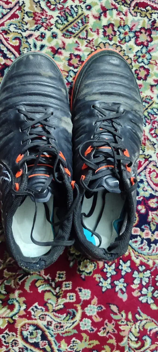 کفش نایک تمپو ایکس|کیف، کفش، کمربند|مشهد, صداقیه|دیوار