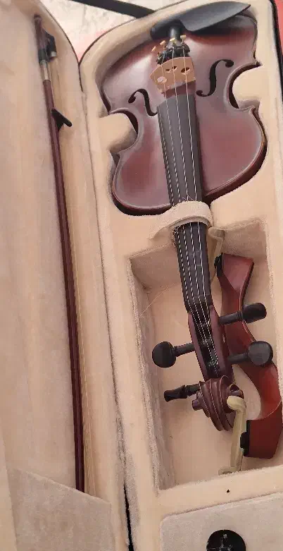 ویولن wein bach|ویولن|مشهد, شریف|دیوار