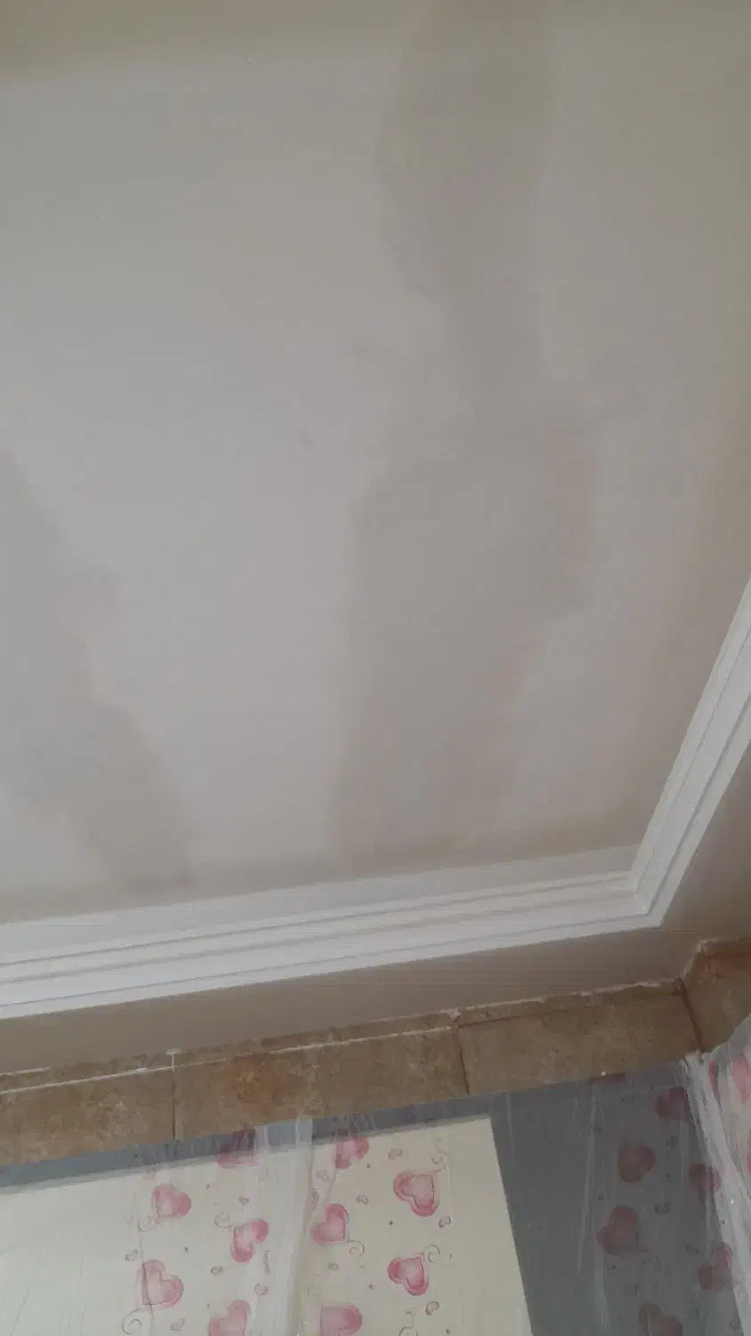 گچ کار|خدمات پیشه و مهارت|بوشهر, |دیوار