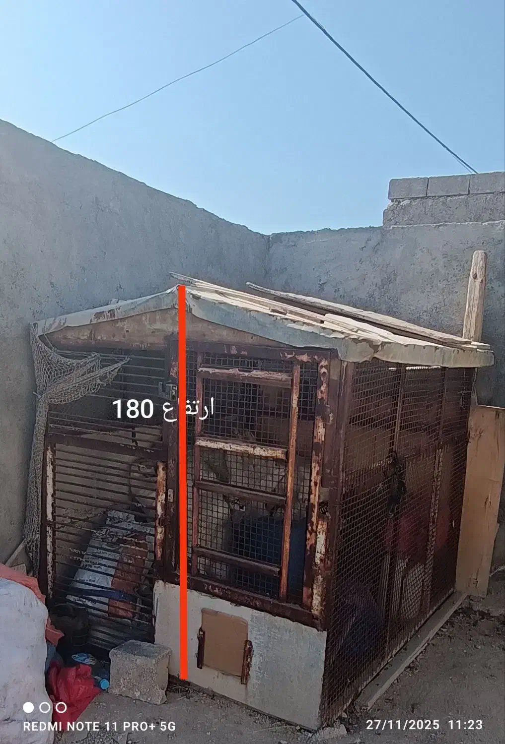 قفس|لوازم جانبی حیوانات|دلوار, |دیوار