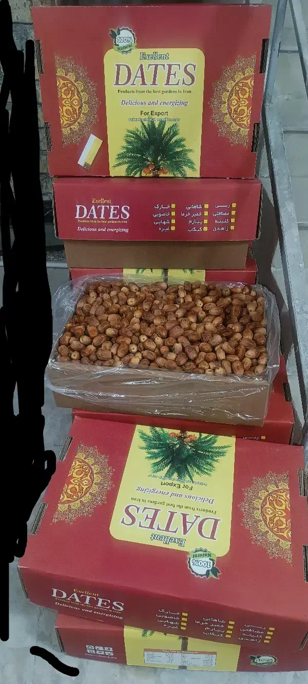 قصبک  تازه و باکیفیت|خوردنی و آشامیدنی|خشت, |دیوار