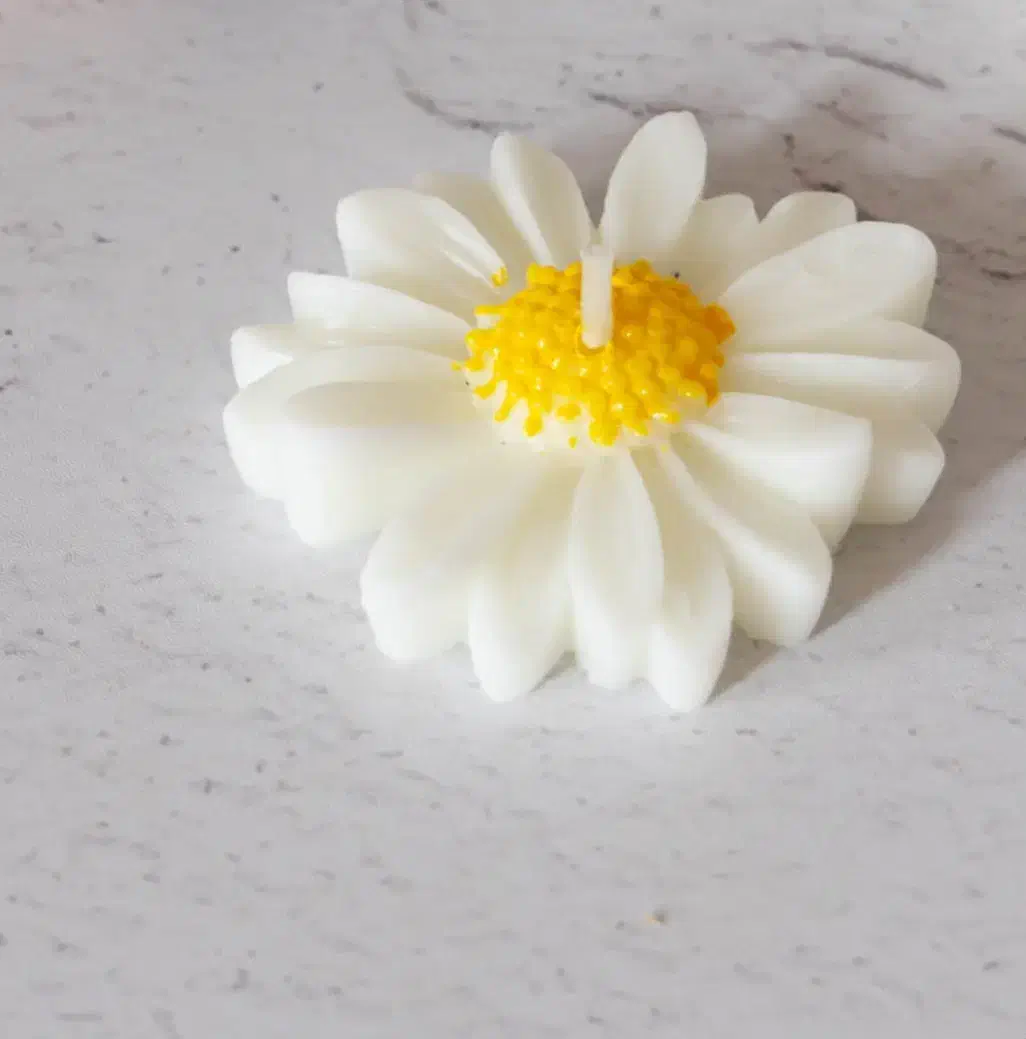 ظروف سنگ مصنوعی وشمعسازی وهفت سینهای|صنایع دستی و سایر لوازم تزئینی|جلفا, |دیوار