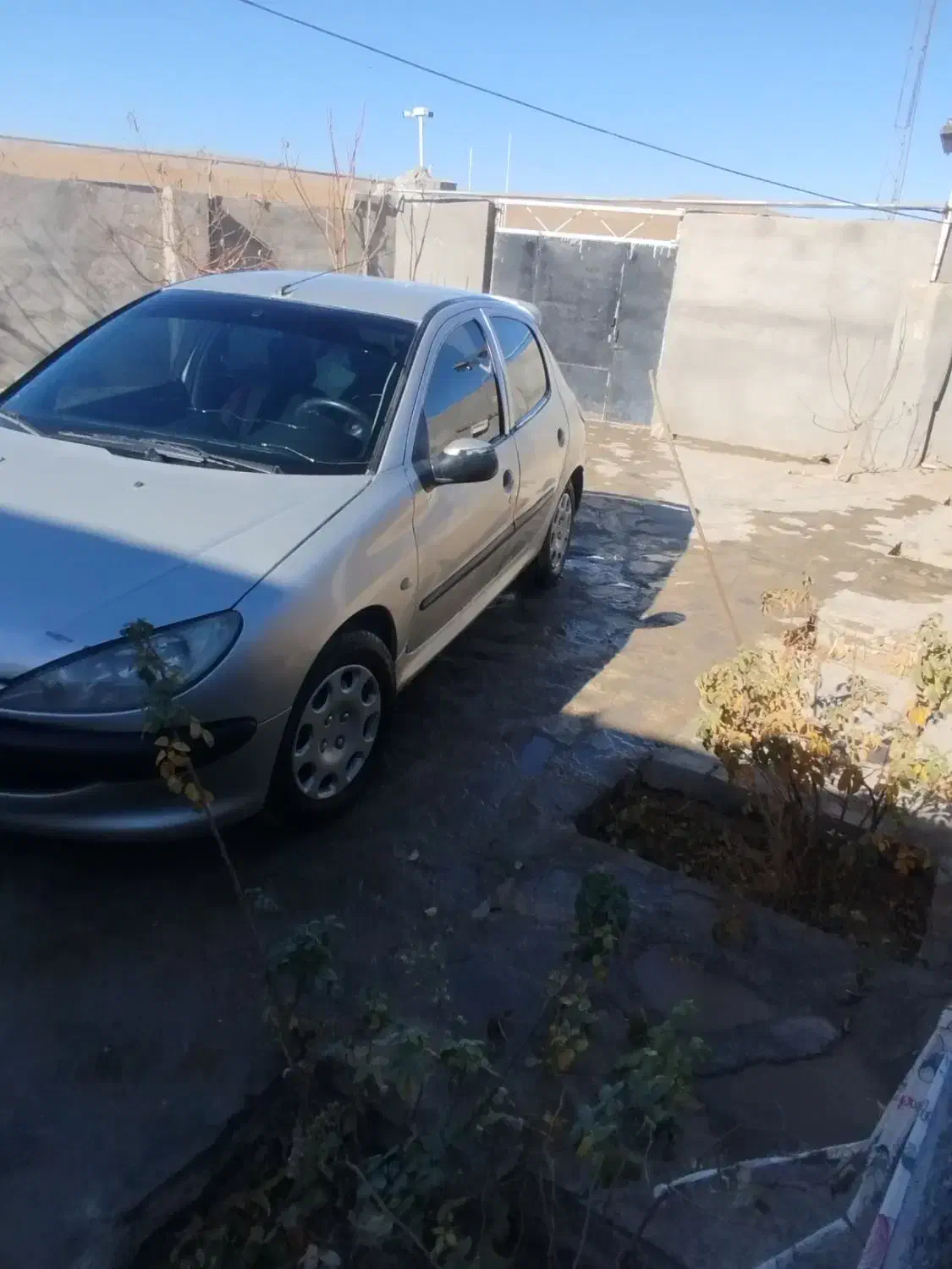 پژو ۲۰۶مدل ۸۱عروسک فروش یا معاوضه باموتور درحد۱۲۰|خودرو سواری و وانت|تربت جام, میان جام|دیوار