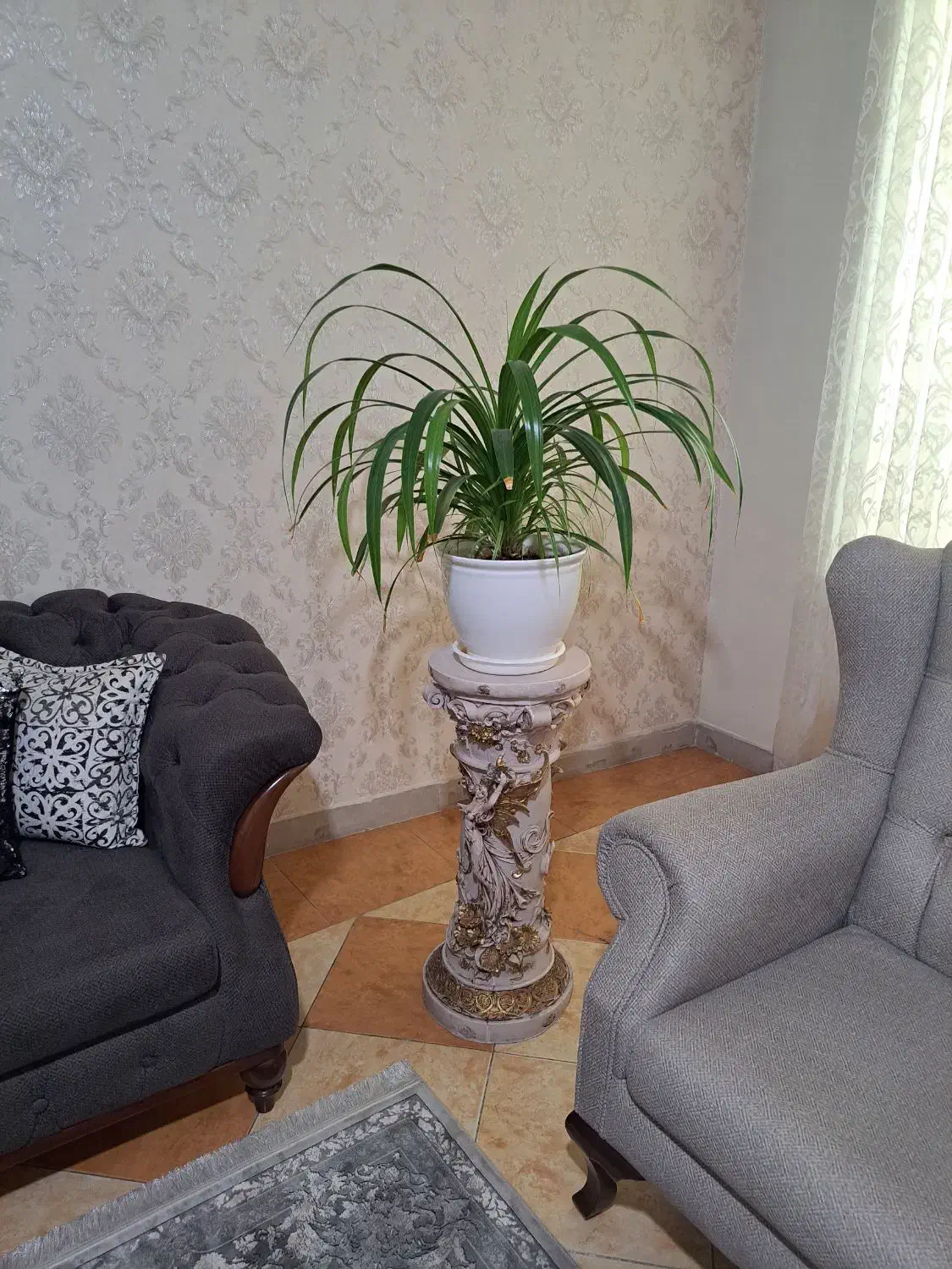 گل گلدون|گل و گیاه طبیعی|هشتگرد, هشتگرد قدیم|دیوار