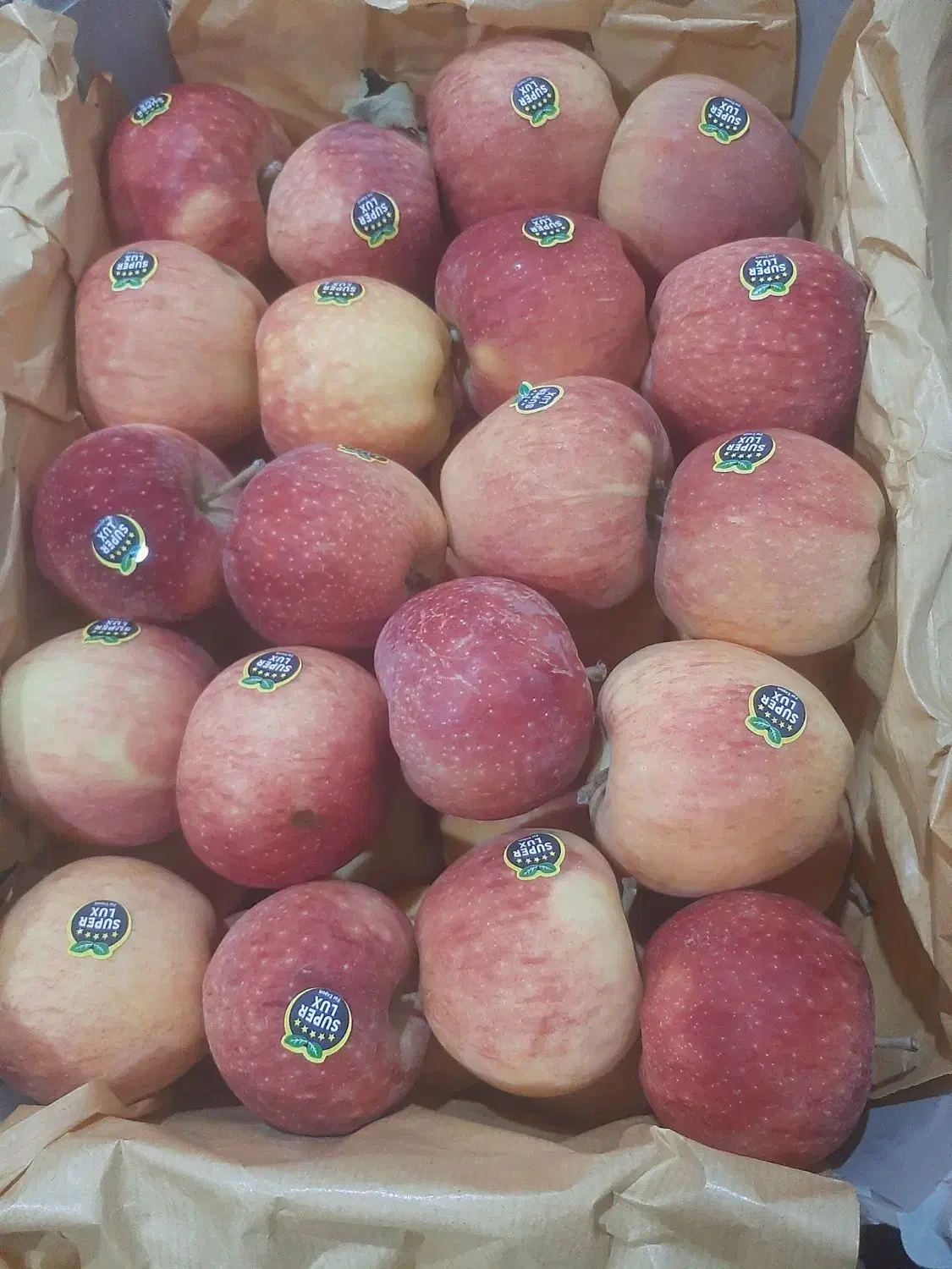 سیب|خوردنی و آشامیدنی|باروق, |دیوار