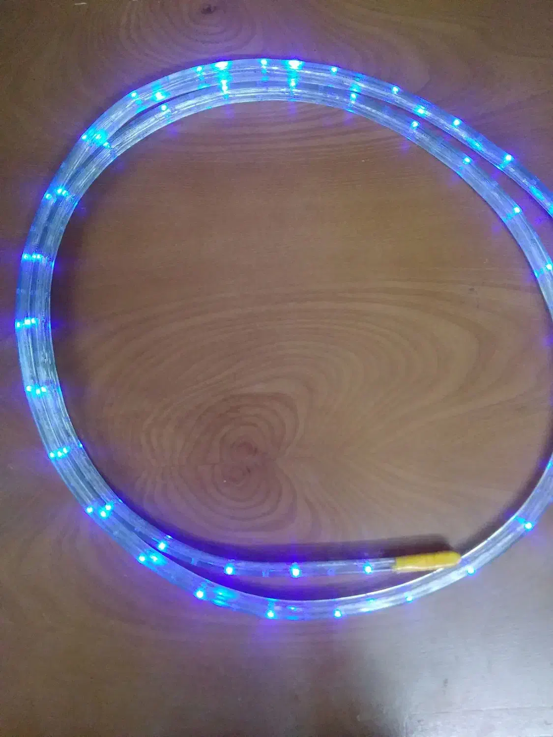 ریسه برق|لامپ و چراغ|فولادشهر, B5|دیوار