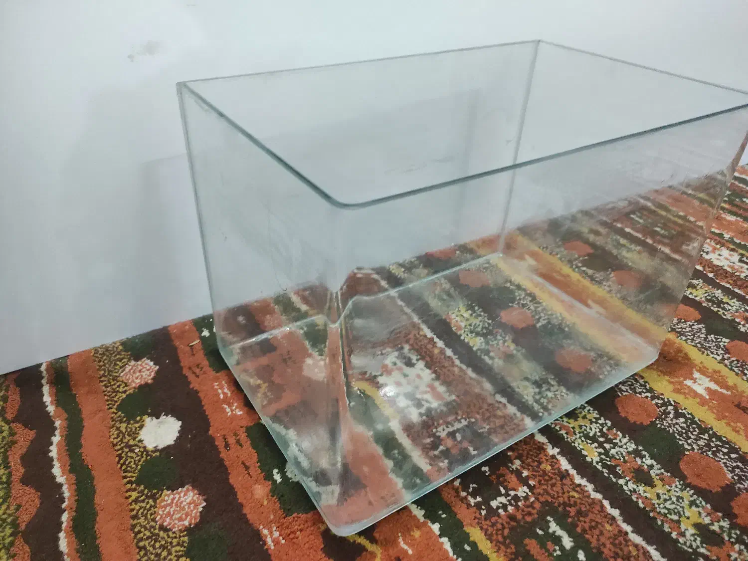 آکواریوم|ماهی|امیدیه, |دیوار