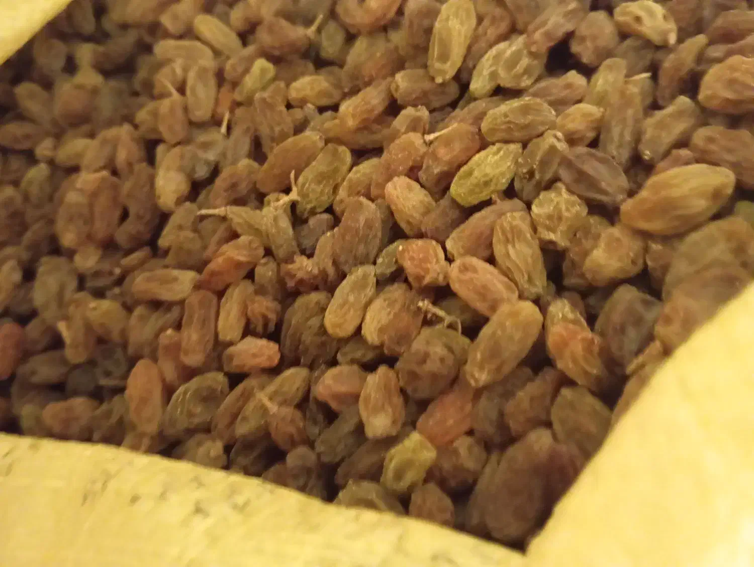 کشمش سبز طبیعی سایه خشک بدون هسته|خوردنی و آشامیدنی|یزد, |دیوار
