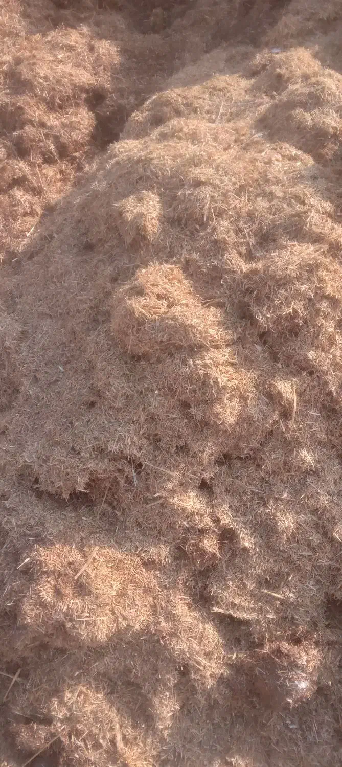 کاه نرم|لوازم جانبی حیوانات|مرودشت, تخت جمشید|دیوار