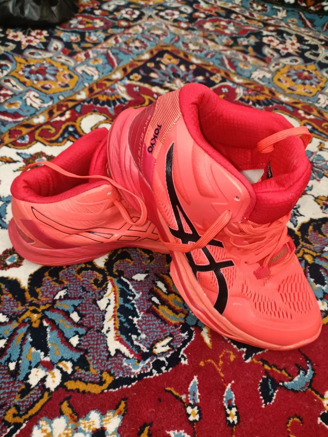 کتونی والیبال|کیف، کفش، کمربند|رودسر, |دیوار