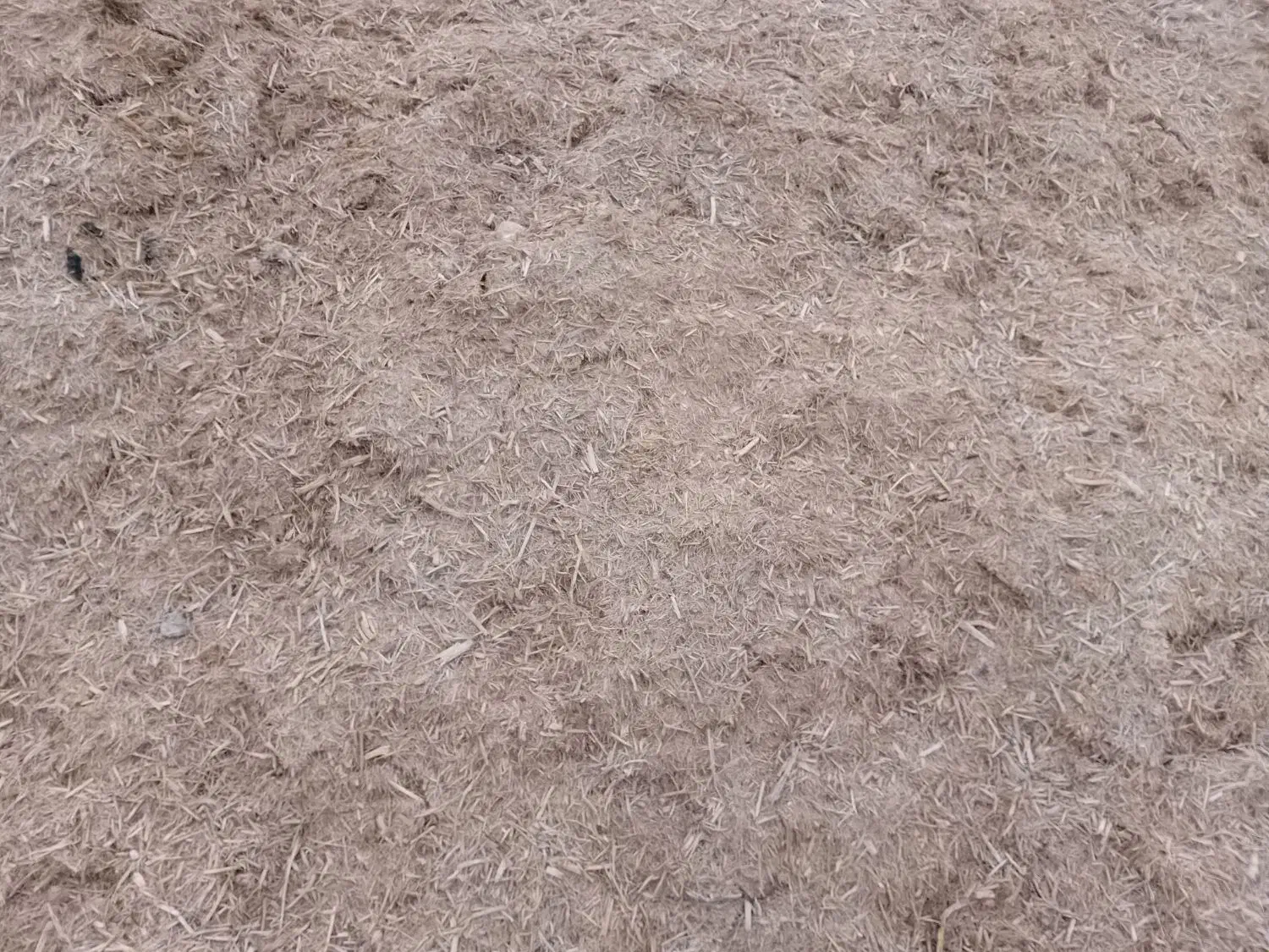 نیشکر|لوازم جانبی حیوانات|خرم‌آباد, |دیوار