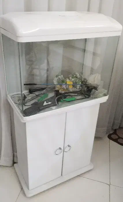 آکواریم لبه خم|ماهی|مشهد, طبرسی شمالی|دیوار