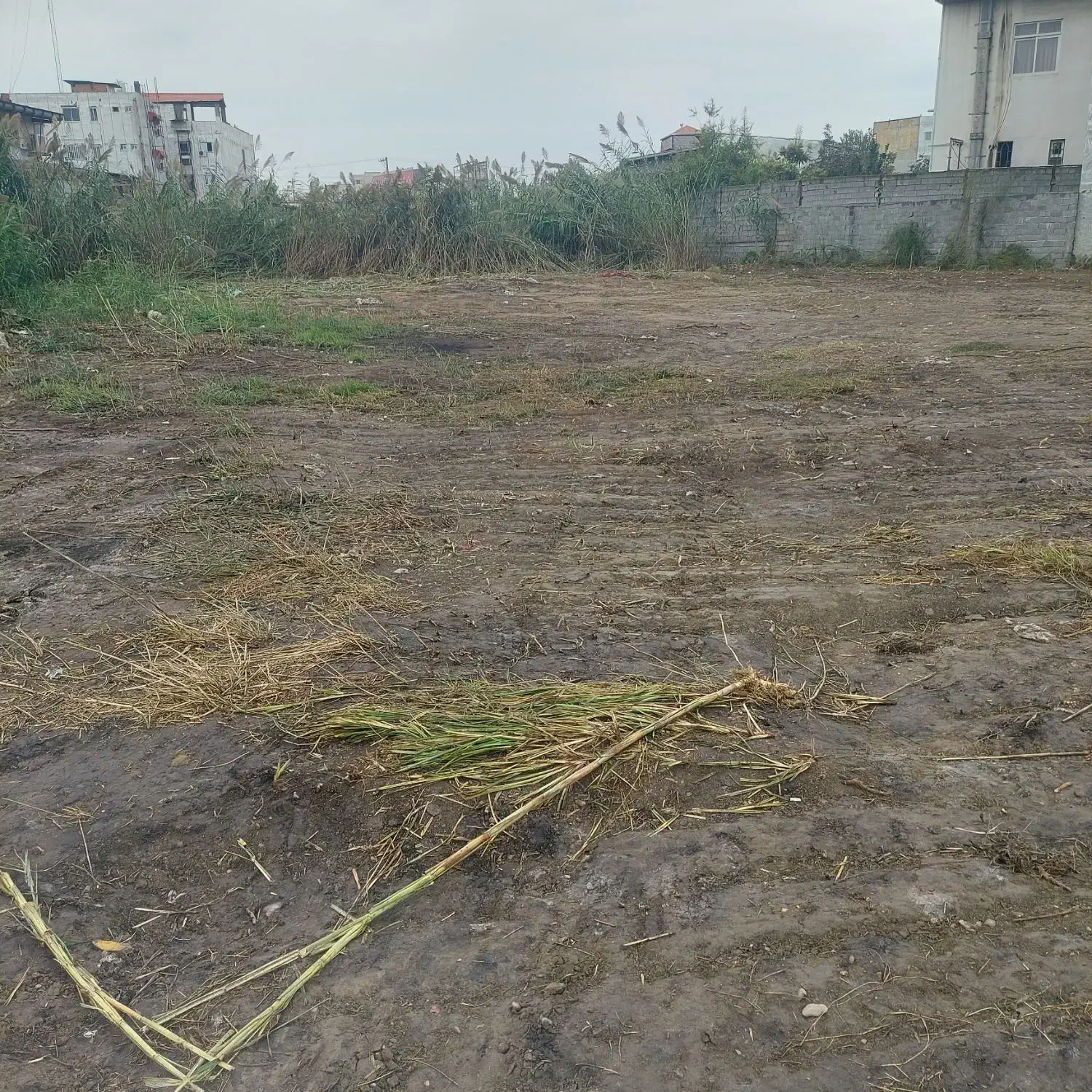 فروش زمین دربابل|فروش زمین و ملک کلنگی|زرگرشهر, |دیوار