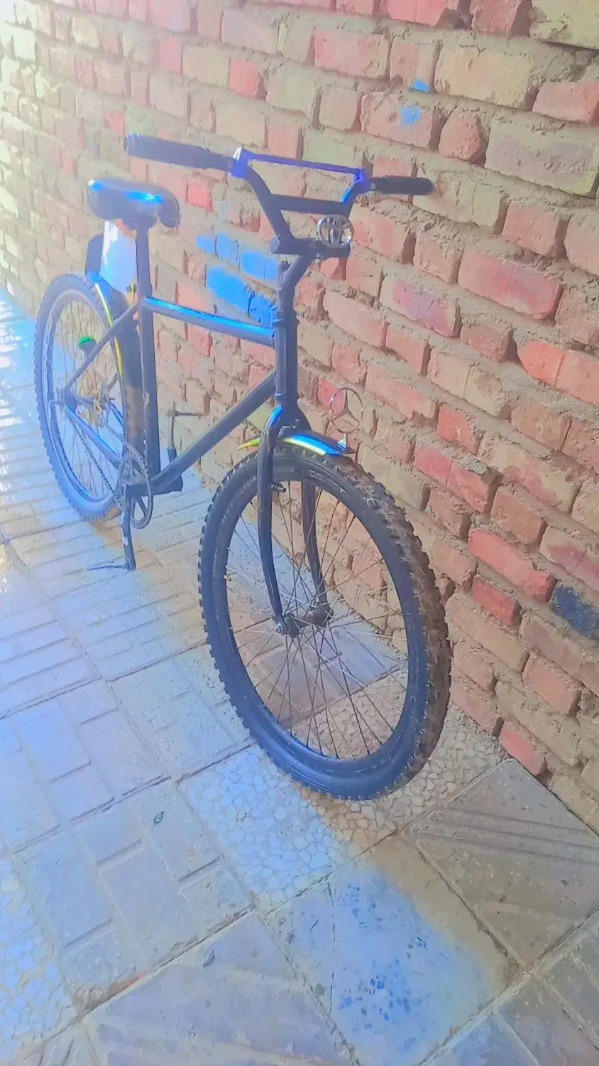 دوچرخه|دوچرخه، اسکیت، اسکوتر|ایرندگان, |دیوار